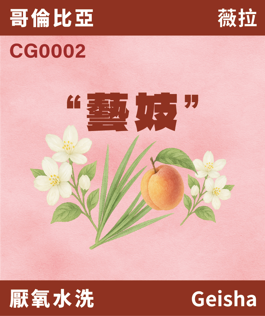 CG0002｜哥倫比亞 藝妓 厭氧水洗