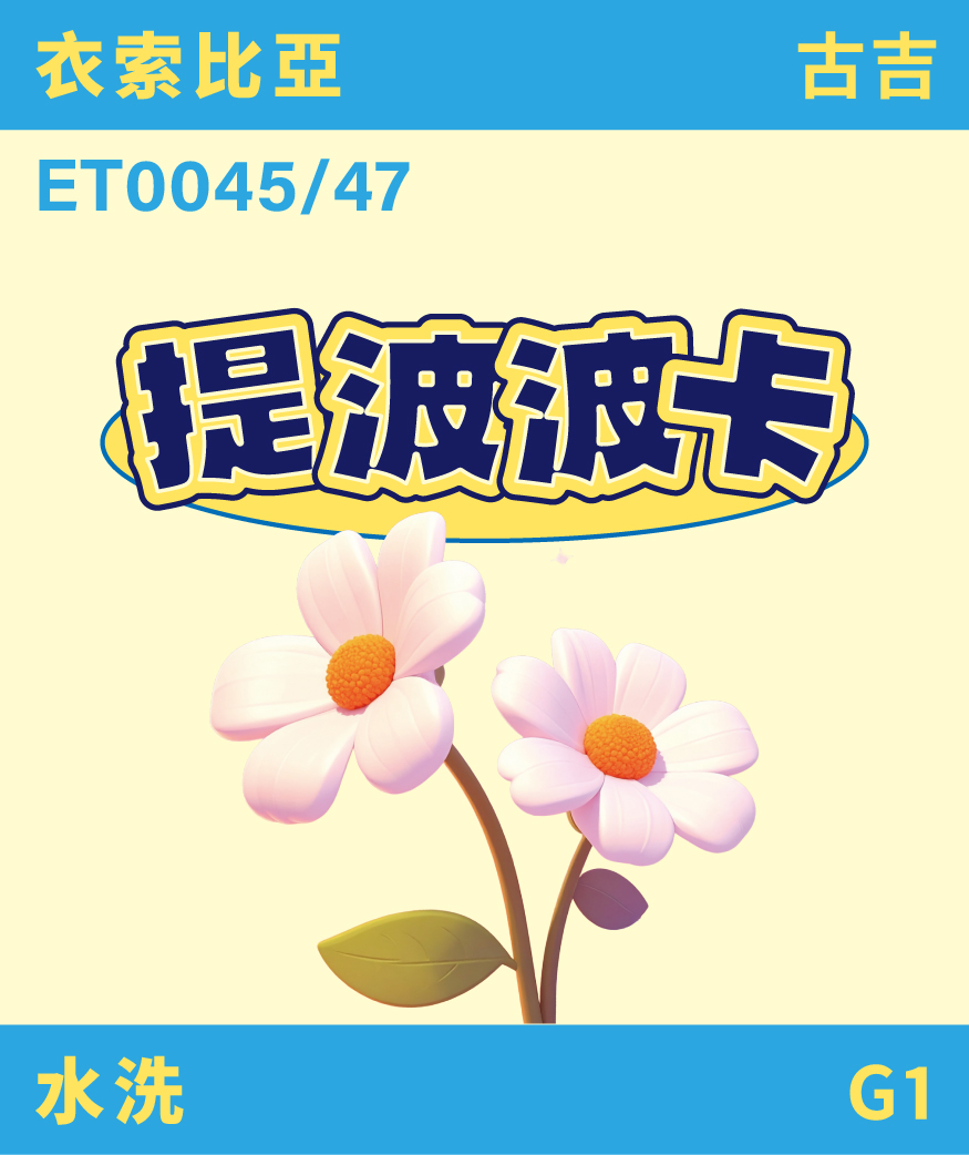 ET0045/47｜衣索比亞 古吉 提波波卡 水洗 G1