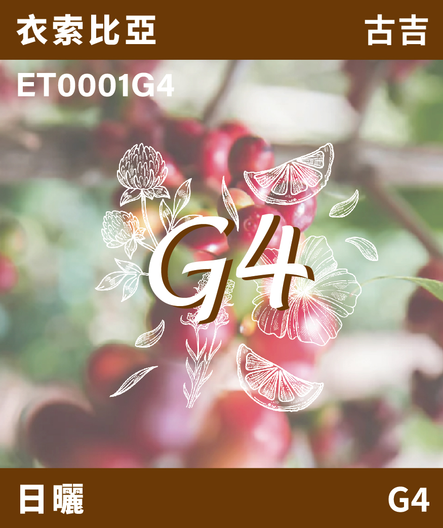 ET0001G4｜衣索比亞 古吉 G4 [預訂]