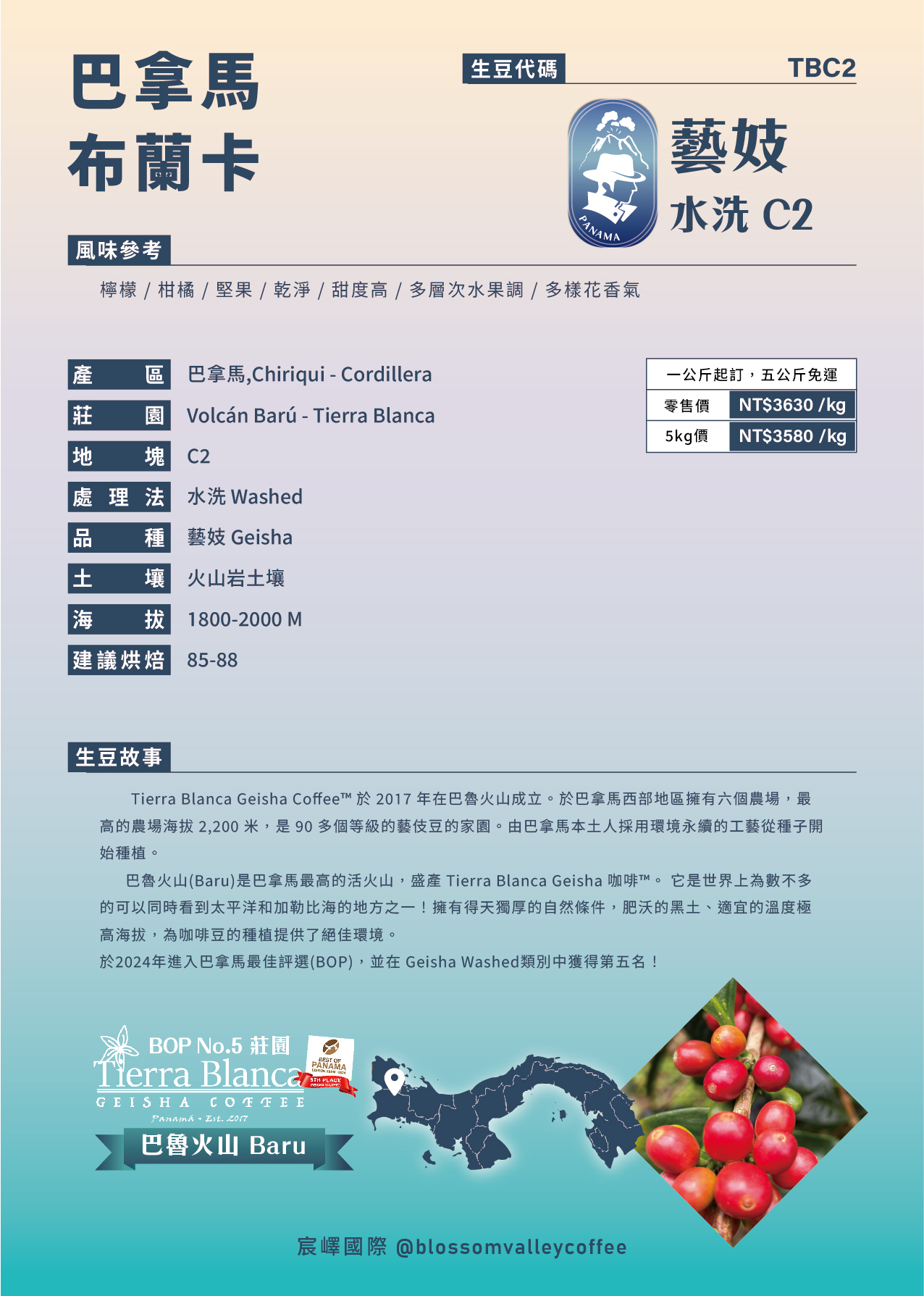 TBC2｜巴拿馬 布蘭卡 藝妓 水洗