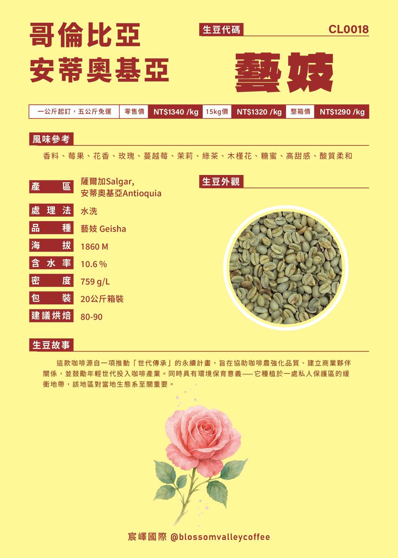 CL0018｜哥倫比亞 藝妓 水洗