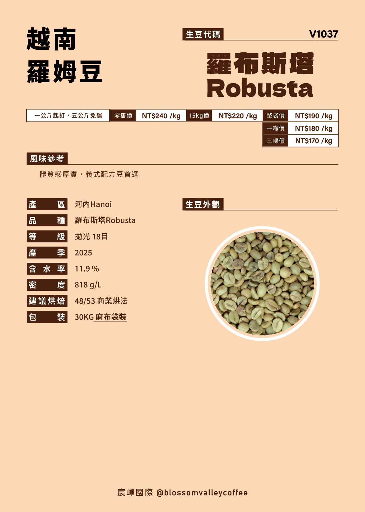 V1037｜越南 羅姆豆 [噸價請私]