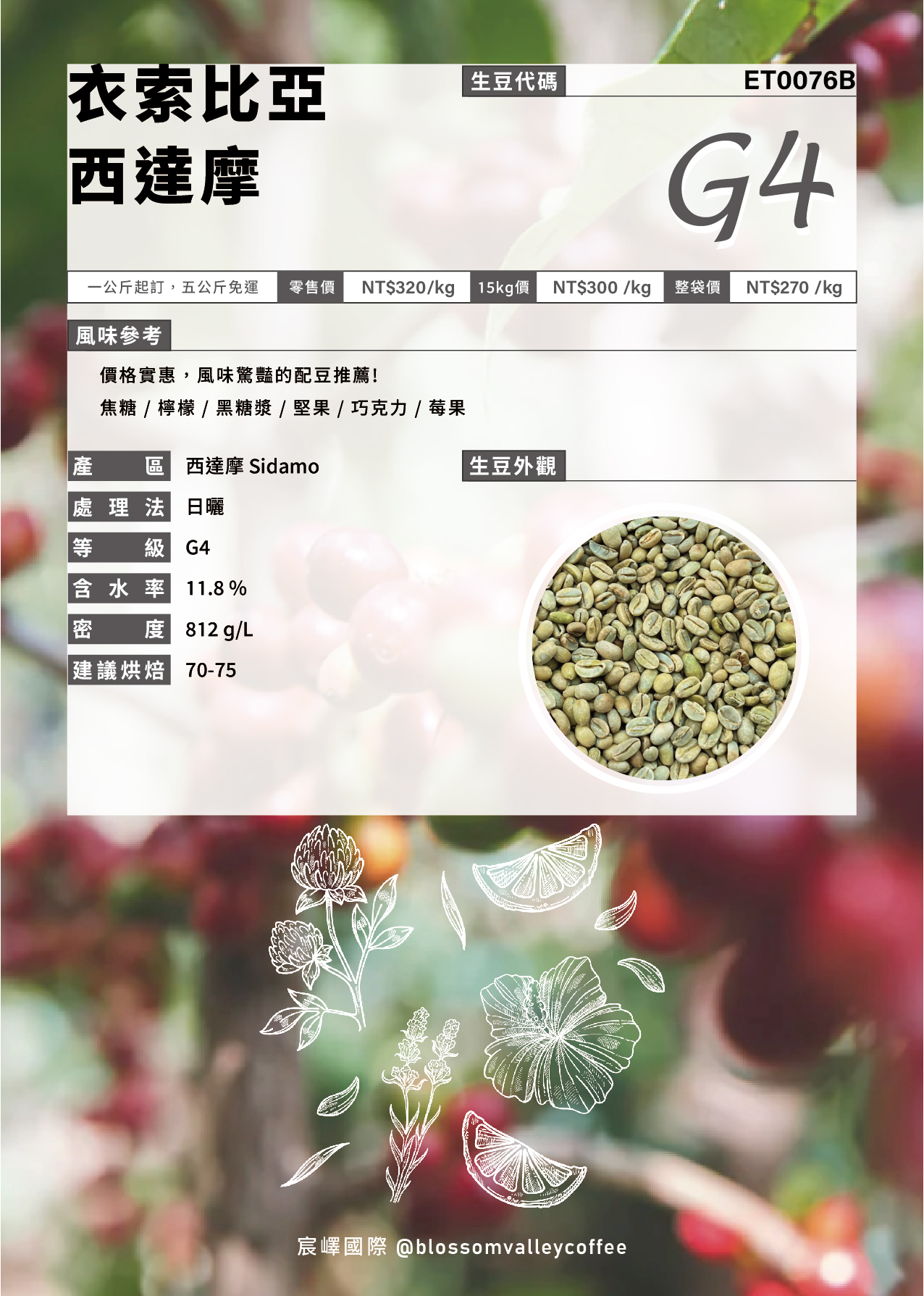 ET0076B｜衣索比亞 西達摩 G4