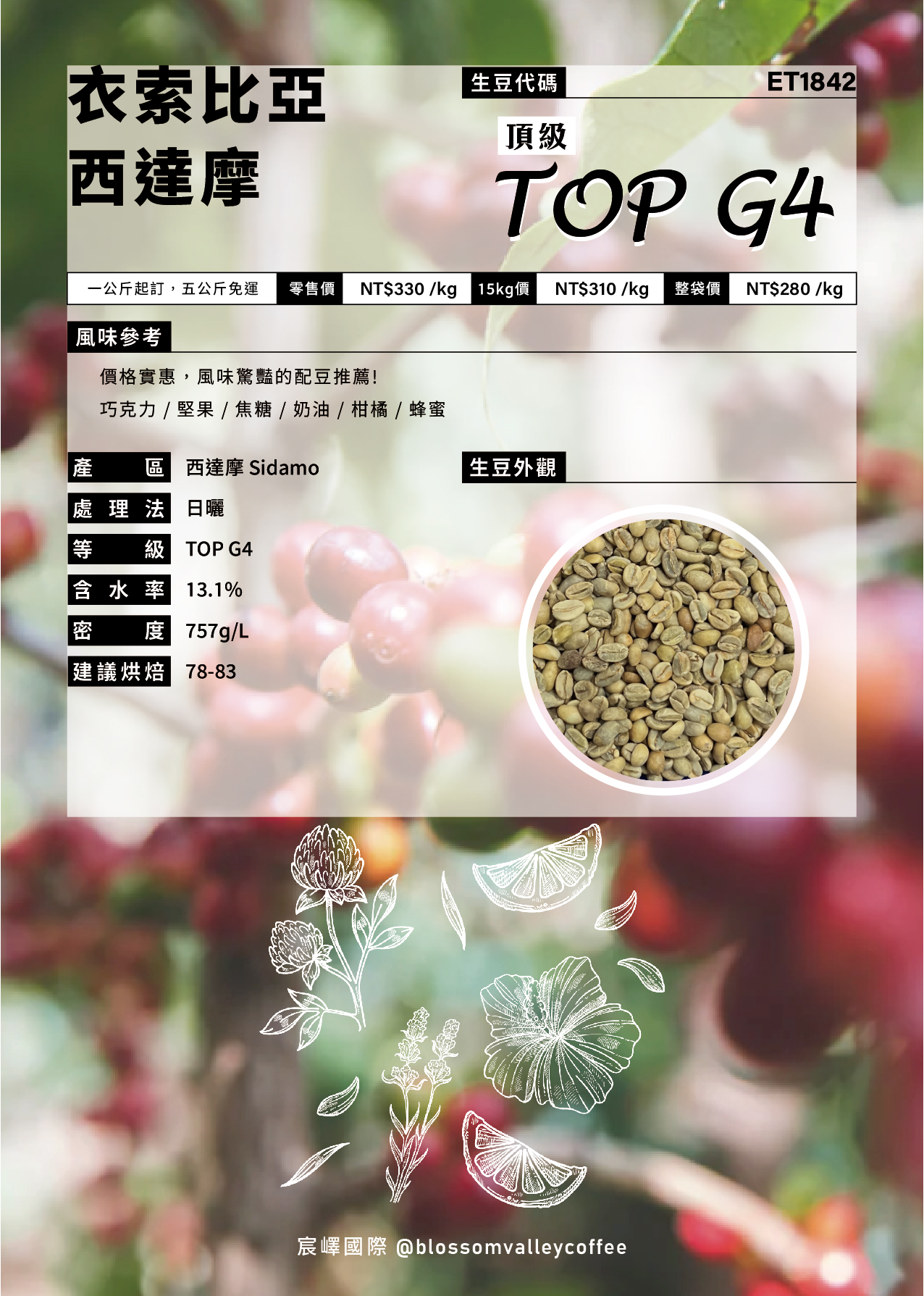 ET1842｜衣索比亞 西達摩 TOP G4