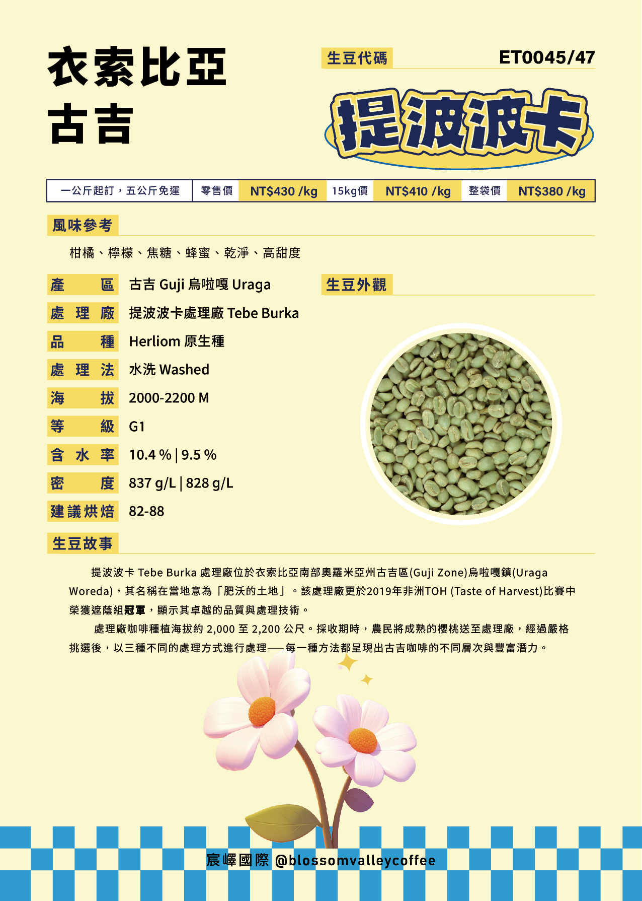 ET0045/47｜衣索比亞 古吉 提波波卡 水洗 G1