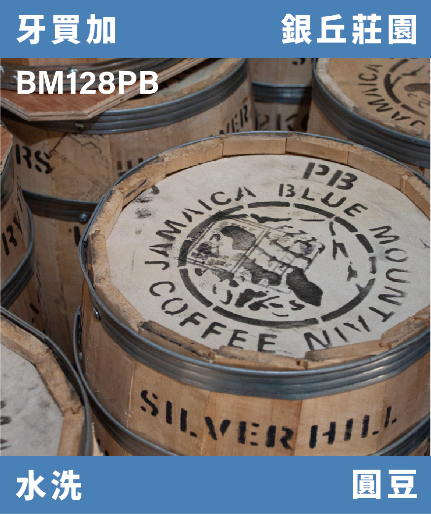 [預訂]｜牙買加 銀丘莊園 頂級藍山圓豆