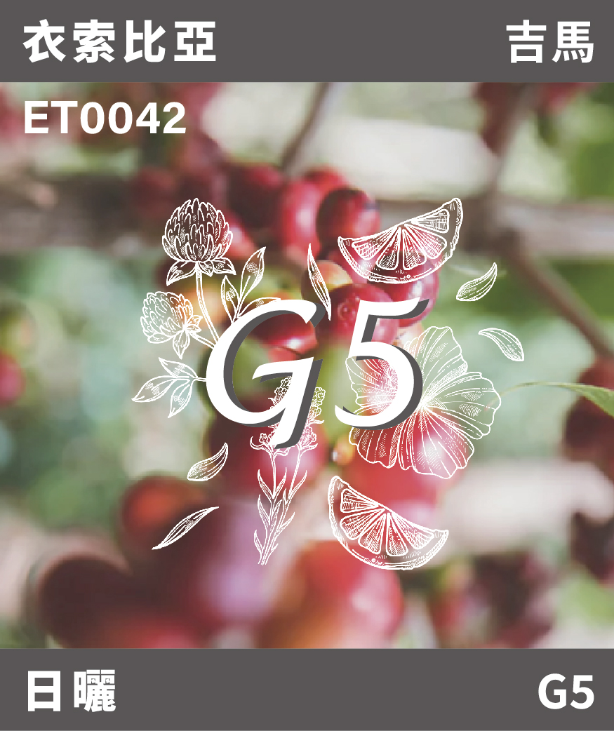 ET0042｜衣索比亞 吉馬 G5 麻布袋