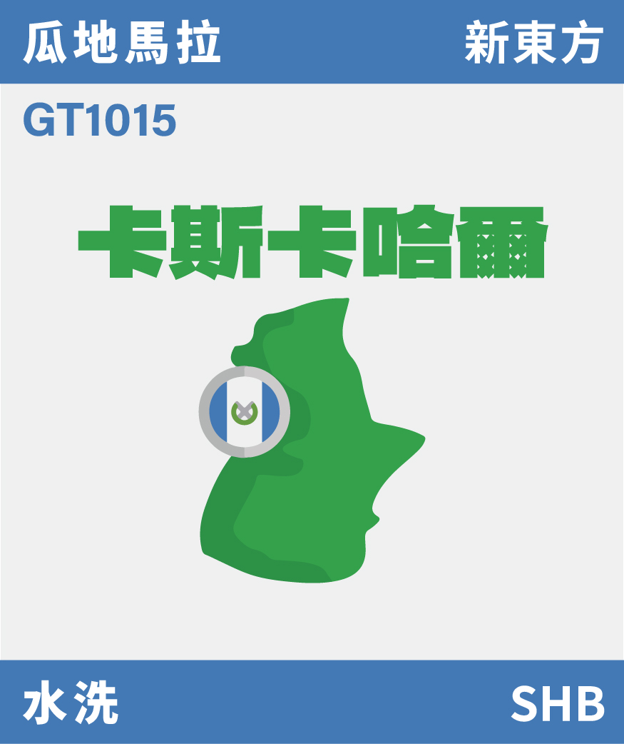 GT1015｜瓜地馬拉 SHB 黃卡杜艾 水洗