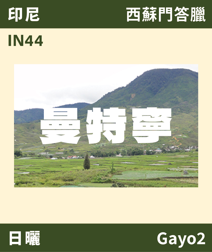 [預訂]｜印尼 曼特寧 Gayo 日曬