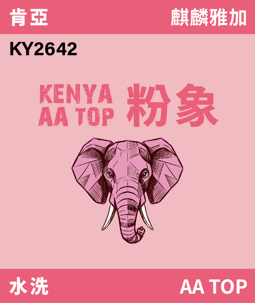 KY2642｜肯亞 麒麟雅加 粉象 AA TOP 水洗