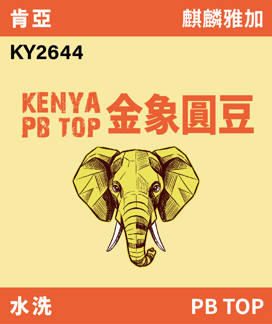 KY2644｜肯亞 麒麟雅加 金象圓豆 PB TOP 水洗