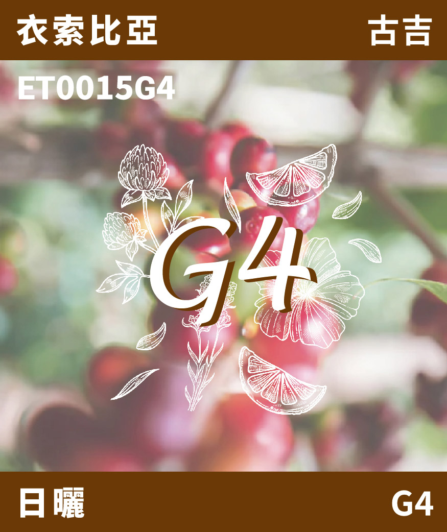ET0015G4｜衣索比亞 古吉 G4