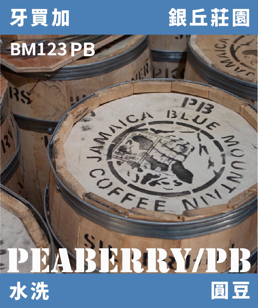[補貨中]BM123PB｜牙買加 銀丘莊園 頂級藍山圓豆