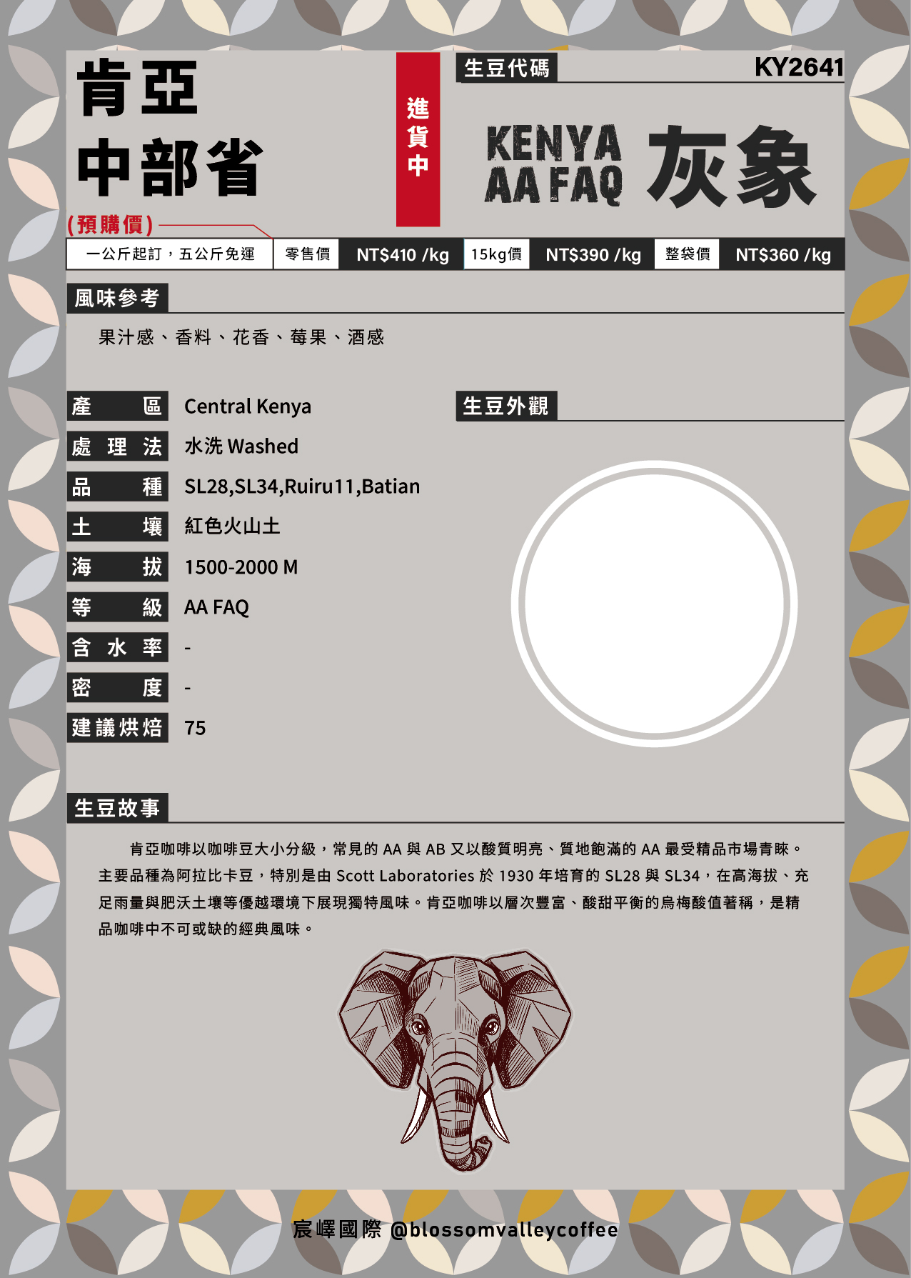 KY2641｜肯亞 中部省 灰象 AA FAQ 水洗