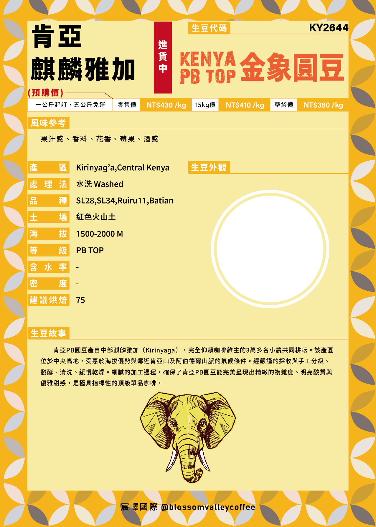 KY2644｜肯亞 麒麟雅加 金象圓豆 PB TOP 水洗